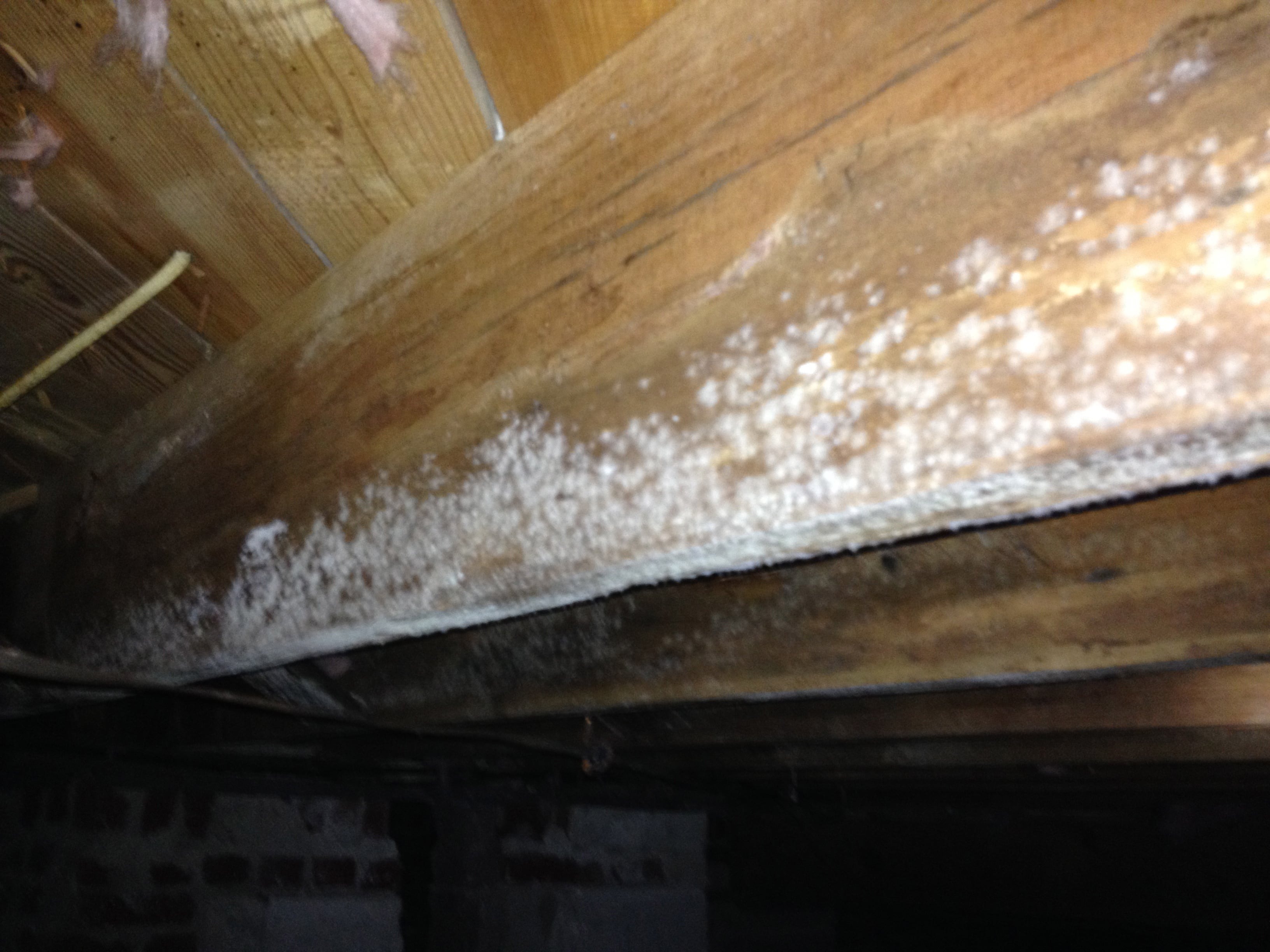 Image of Crawl Space Removal Springfield